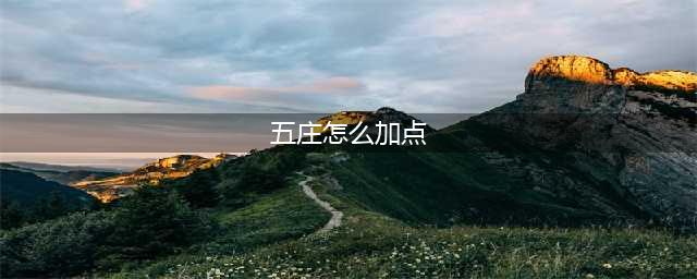 《梦幻西游》五庄观怎么加点好 五庄观加点技巧攻略(五庄怎么加点)