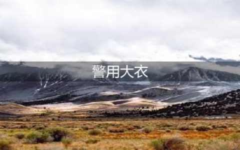 《赛博朋克2077》传说外搭装备获得攻略 重型芳纶增强警用大衣怎么获得(警用大衣)