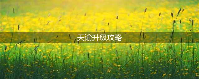 《天谕手游》新手怎么快速升级 萌新快速升级攻略(天谕升级攻略)