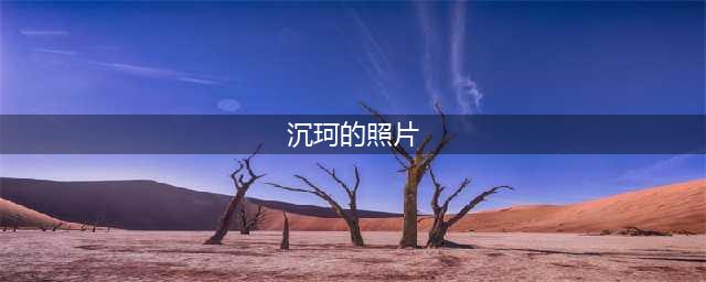 ck沉珂和雪雪的新浪微博照片，ck沉珂的男朋友最美的照片(沉珂的照片)