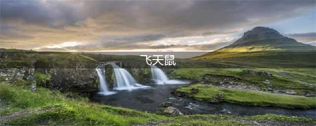 《剑网3》飞天鼠奇遇完怎么做飞天鼠奇遇完成图文攻略(飞天鼠)