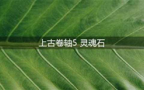 上古卷轴5灵魂石代码有哪些 灵魂石代码一览