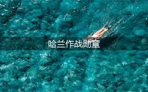 魔兽世界tbc哈兰作战勋章如何获取(哈兰作战勋章)