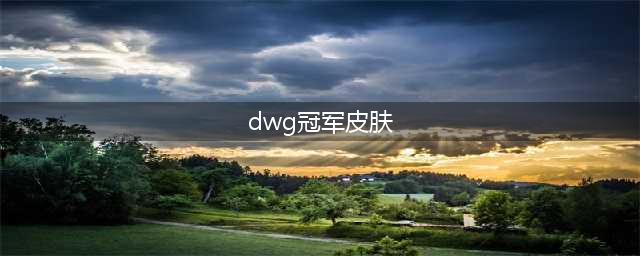 英雄联盟dwg冠军皮肤一览