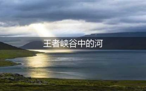 《王者荣耀》河道底部在哪 河道底部位置坐标一览(王者峡谷中的河)