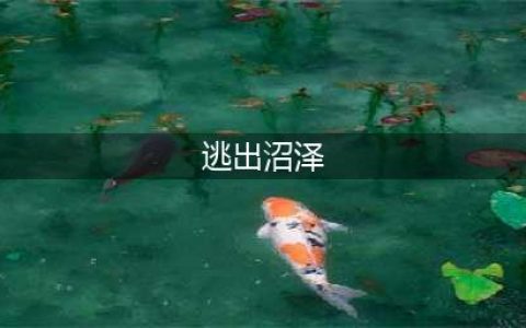 《明日之后》掉进沼泽怎么办 掉进沼泽逃出方法技巧攻略分享(逃出沼泽)