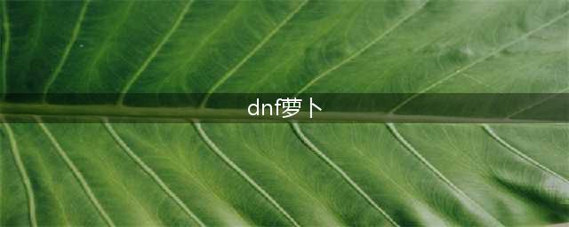 《dnf》奶萝110版本装备 装备搭配推荐(dnf萝卜)