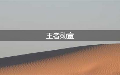 《王者荣耀》王者勋章怎么获得 王者勋章获取攻略(王者勋章)