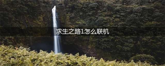 《求生之路》局域网联机方法 局域网怎么联机(求生之路1怎么联机)