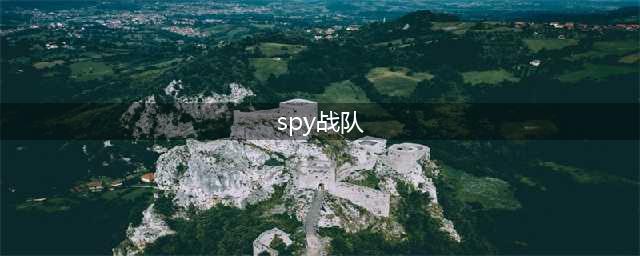 《LOL》2020全球总决赛入围赛队伍有哪些 S10入围赛队伍名单一览(spy战队)