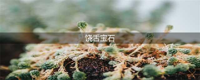 《暗黑3》饶舌宝石如何获取 获得方法分享(饶舌宝石)