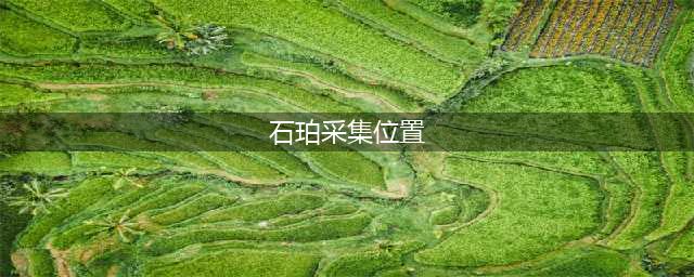 原神石珀采集地点有哪些