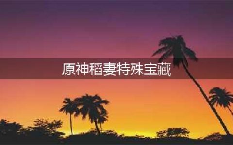 《原神》稻妻特殊宝藏在哪 特殊宝藏位置分享