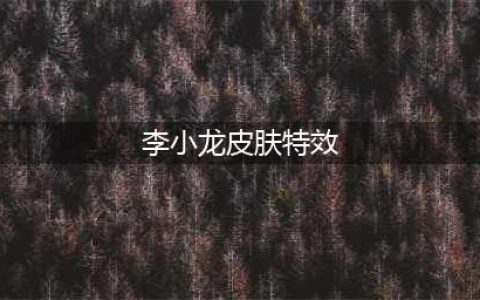 《王者荣耀》李小龙皮肤特效怎么样 李小龙皮肤技能特效演示(李小龙皮肤特效)