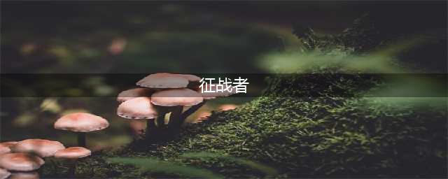 《地下城决斗》征战者出招表介绍(征战者)