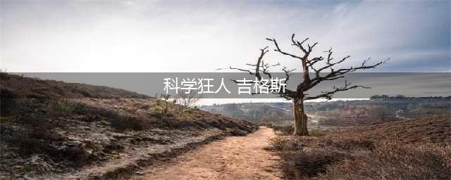 科学狂人吉格斯有特效吗(科学狂人 吉格斯)