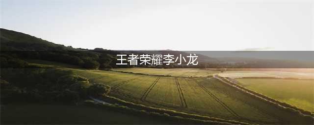 《王者荣耀》李小龙技能怎么加点 李小龙技能加点技巧攻略(王者荣耀李小龙)
