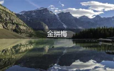 《明日方舟》干员英文代号是什么 全干员英文代号汇总(金拼梅)