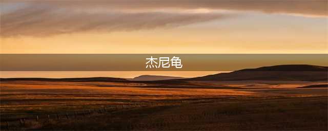 《宝可梦剑盾》杰尼龟如何获取 杰尼龟获取攻略(杰尼龟)