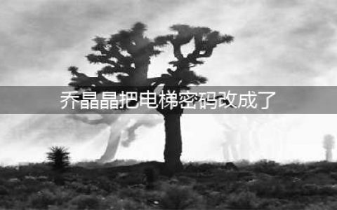 《王者荣耀》乔晶晶把电梯密码改成了答案图文教程 乔晶晶把电梯密码改成了什么