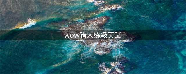 魔兽世界wlk猎人练级怎么点天赋 wlk猎人练级点天赋推荐