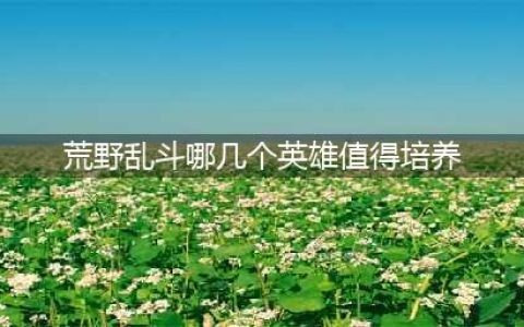 《荒野乱斗》哪个英雄值得培养 英雄玩法攻略(荒野乱斗哪几个英雄值得培养)