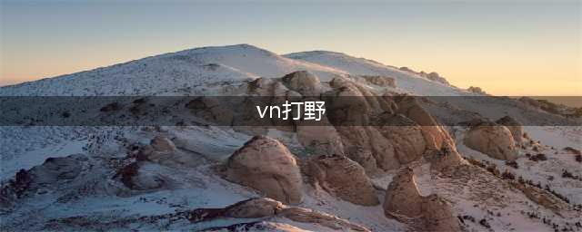 《LOL手游》VN技能怎么加点 VN技能加点推荐(vn打野)