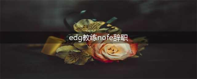 《LOL》EDG教练Nofe辞职 曾承诺S8没进4强就走人(edg教练nofe辞职)