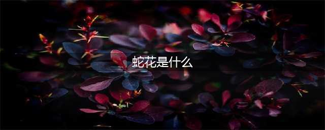 《杀戮尖塔》蛇花怎么样 蛇花属性资料图鉴(蛇花是什么)
